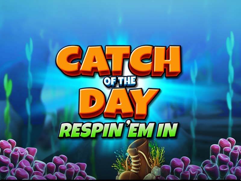 Logo Catch Respin