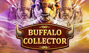 898bet777 Buffalo Collector