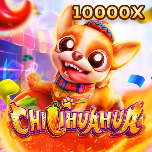 898bet777 Chihuahua